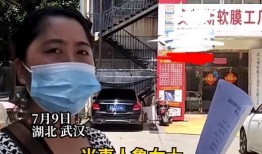 武汉工作女士爆料视频,揭秘职场隐秘现象