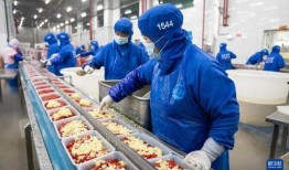 肉串加工厂爆料视频大全,爆料视频大全背后的真实加工过程