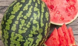 国内最大免费吃瓜平台,海量资讯，畅享娱乐盛宴